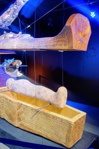 Photo 8 from Tutankhamun – The Immersive Exhibition