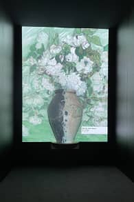 Photo 9 from Van Gogh: The Immersive Experience