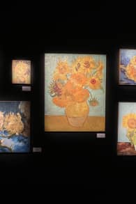 Photo 8 from Van Gogh: The Immersive Experience