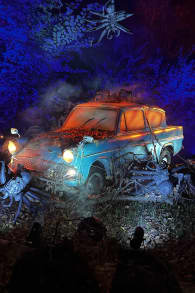 Photo 6 from Harry Potter : L’Expérience en Forêt Interdite