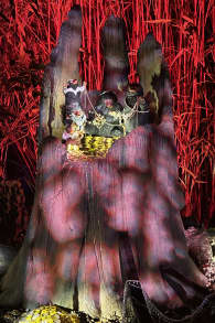 Photo 5 from Harry Potter : L’Expérience en Forêt Interdite