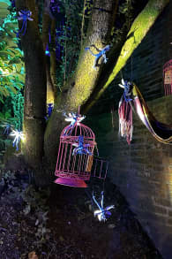 Photo 4 from Harry Potter : L’Expérience en Forêt Interdite