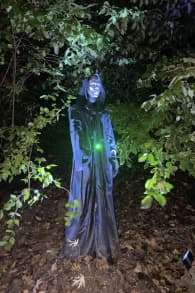 Photo 10 from Harry Potter : L’Expérience en Forêt Interdite