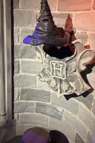 Photo 4 from Harry Potter™: Magic at Play