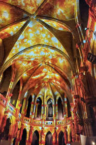 Photo 3 from Genesis, l'histoire de la Création en un spectacle lumineux et immersif à Bordeaux