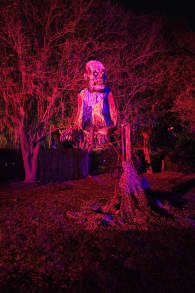 Photo 2 from Haunting Nights