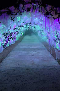 Photo 1 from Haunting Nights