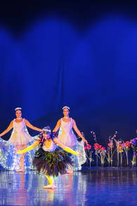 Photo 0 from Ballet of Lights: La Bella Durmiente en un espectáculo deslumbrante
