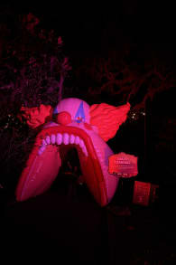 Photo 5 from Haunting Nights