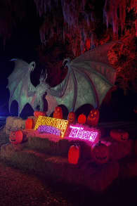 Photo 4 from Haunting Nights