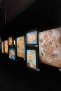 Photo 5 from Van Gogh: The Immersive Experience