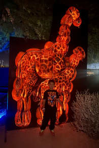Photo 0 from Glowing Pumpkins: A Phoenix Jack-o-Lantern Adventure