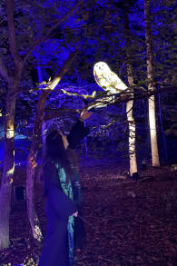 Photo 5 from Harry Potter™: A Forbidden Forest Experience
