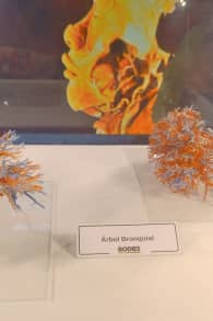 Photo 5 from Bodies Evolution - Cuerpos Humanos Reales