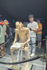 Photo 3 from Bodies Evolution - Cuerpos Humanos Reales