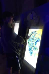 Photo 3 from Living Van Gogh 2025 - Lisboa