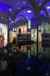 Photo 2 from Living Van Gogh 2025 - Lisboa