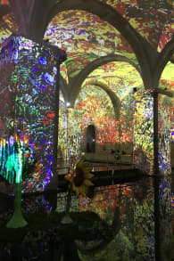 Photo 1 from Living Van Gogh 2025 - Lisboa
