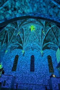 Photo 5 from Enlightenment : un spectacle lumineux immersif sur les airs de Vivaldi à Genève
