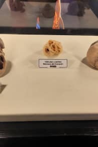 Photo 9 from Bodies Evolution - Cuerpos Humanos Reales