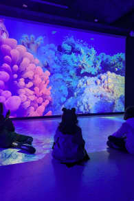 Photo 2 from Science Expériences : musée immersif de Science à Lyon