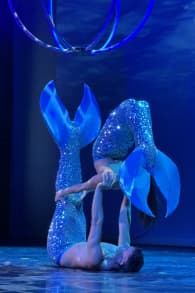 Photo 3 from AirOtic Soirée: un cirque cabaret burlesque