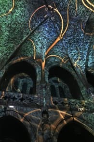 Photo 6 from Genesis, l'histoire de la Création en un spectacle lumineux et immersif à Bordeaux
