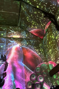 Photo 0 from Pixel Zoo Ocean - Une expérience immersive pour toute la famille