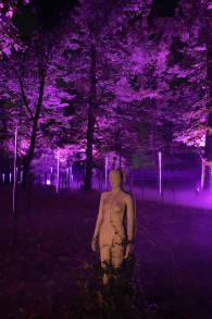 Photo 1 from Light Cycles: Una passeggiata notturna che brilla attraverso la natura, la luce e il suono