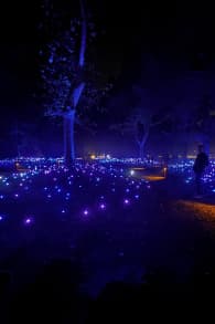 Photo 6 from Light Cycles: Una passeggiata notturna che brilla attraverso la natura, la luce e il suono