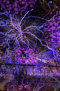 Photo 5 from Enlightenment: An Immersive Light Show in the Heart of Milan