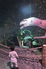 Photo 1 from Dinos Alive: An Immersive Experience