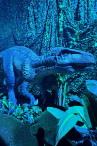Photo 2 from Dinos Alive: An Immersive Experience
