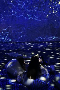 Photo 6 from The Spirit of Japan: An Immersive Art Experience