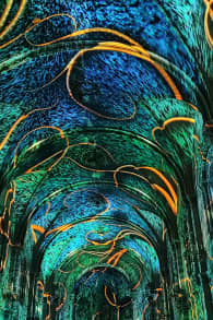 Photo 7 from Genesis: una experiencia luminosa e inmersiva en Valencia