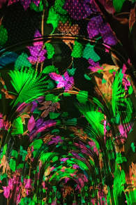 Photo 2 from Genesis: una experiencia luminosa e inmersiva en Valencia
