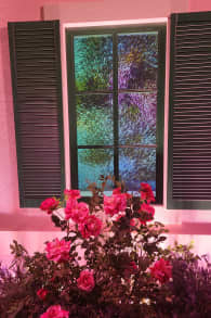 Photo 5 from Monets Garten - ein immersives Ausstellungserlebnis