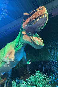 Photo 9 from Dinos Alive: un'esperienza immersiva