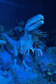 Photo 8 from Dinos Alive: un'esperienza immersiva