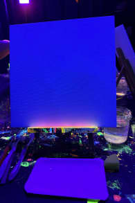 Photo 1 from Neon Brush: Malerlebnis im Dunkeln mit Drinks