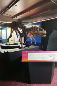 Photo 4 from Dinosaurs of Patagonia: Knowledge Through Science