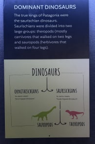 Photo 3 from Dinosaurs of Patagonia: Knowledge Through Science