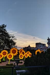 Photo 7 from Living Van Gogh 2025 - Lisboa