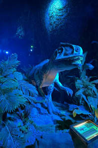 Photo 6 from Dinos Alive: un'esperienza immersiva