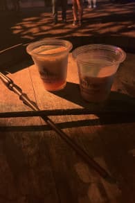 Photo 10 from Harry Potter™: A Forbidden Forest Experience