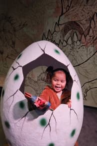 Photo 0 from Dinos Alive: An Immersive Experience