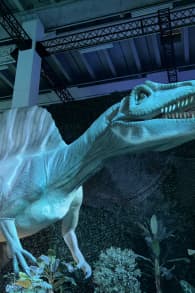 Photo 0 from Dinos Alive: un'esperienza immersiva