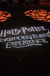 Photo 1 from Harry Potter™: A Forbidden Forest Experience