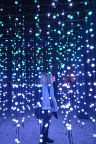 Photo 1 from Lumières en Seine : le parcours illuminé et musical des fêtes de fin d’année