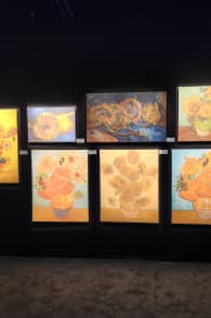 Photo 5 from Van Gogh: The Immersive Experience